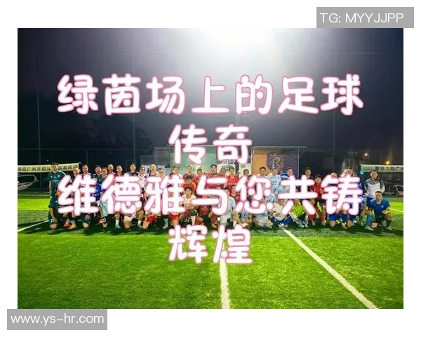 足球大揭秘：探索绿茵场上的秘密与传奇人物的真实故事