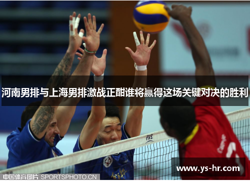 河南男排与上海男排激战正酣谁将赢得这场关键对决的胜利