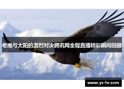 老鹰与太阳的激烈对决腾讯网全程直播精彩瞬间回顾